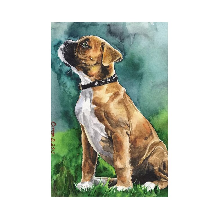 Boxer Puppy I On Canvas by George Dyachenko Painting